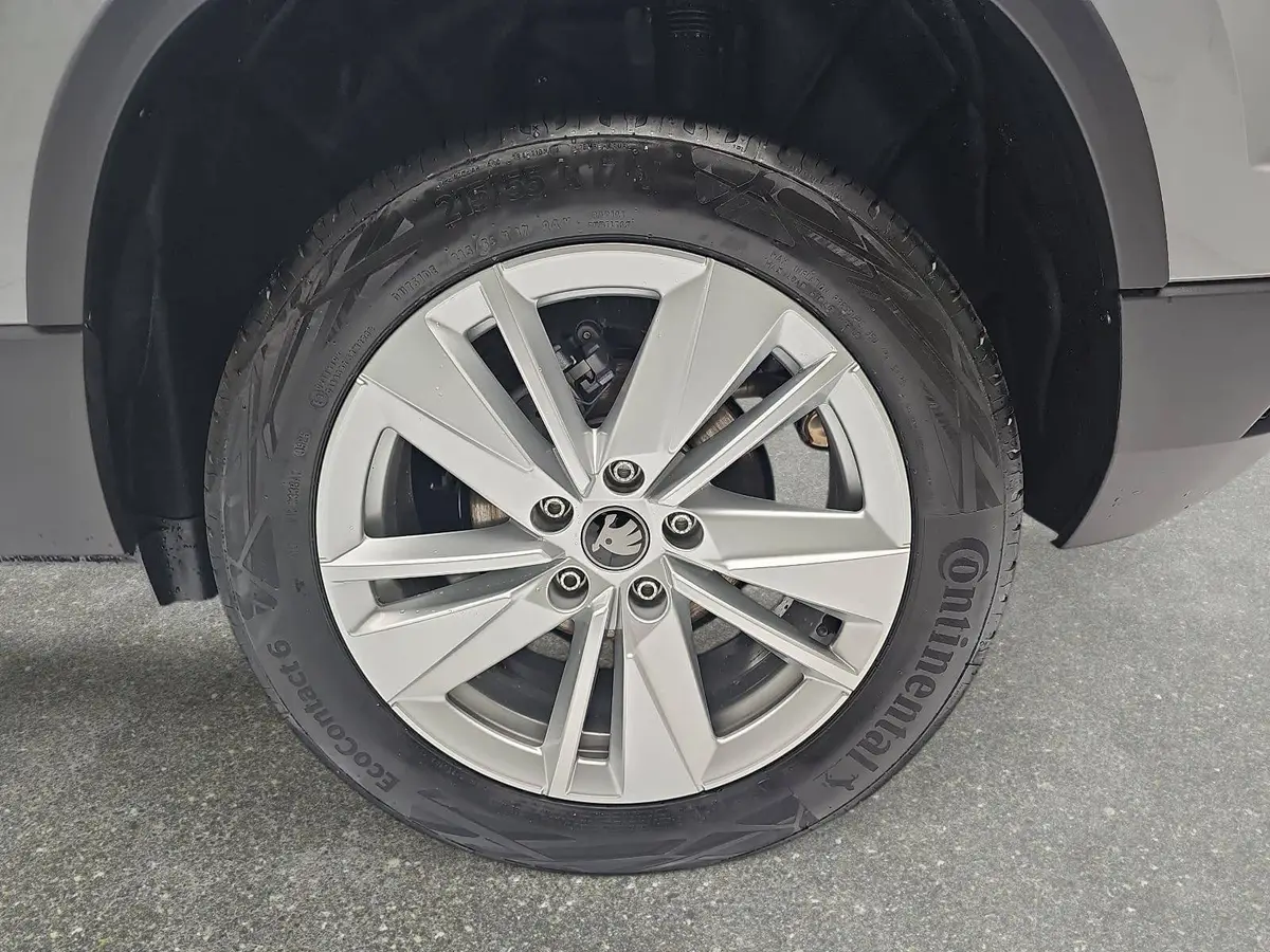 SKODA KAROQ 2.0 TDI DSG DRIVE NAVI LED AHK LM