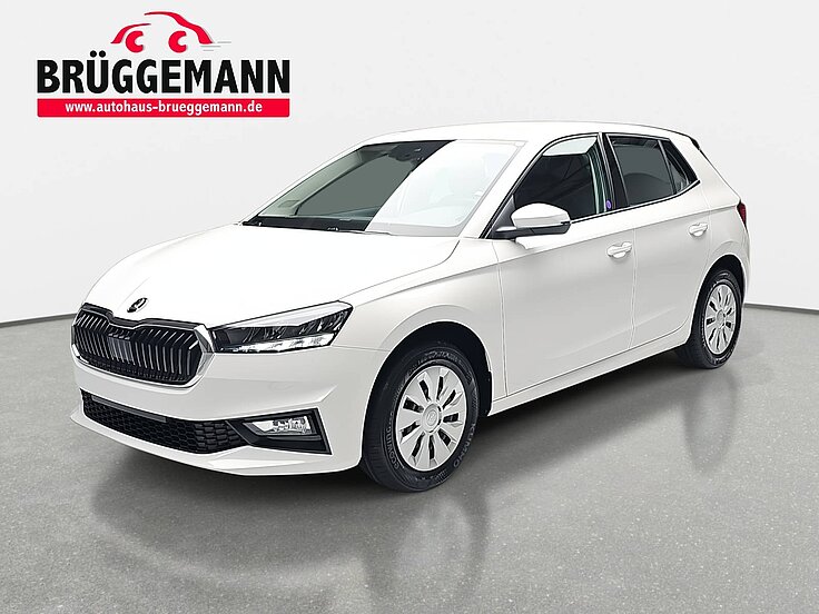 SKODA FABIA 1.0 MPI SELECTION KLIMAAUTO AUDIOSYSTEM CHROM PDC