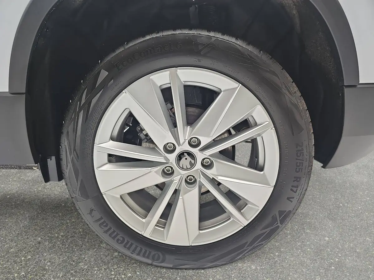 SKODA KAROQ 1.5 TSI DSG SELECTION LED AHK WINTER