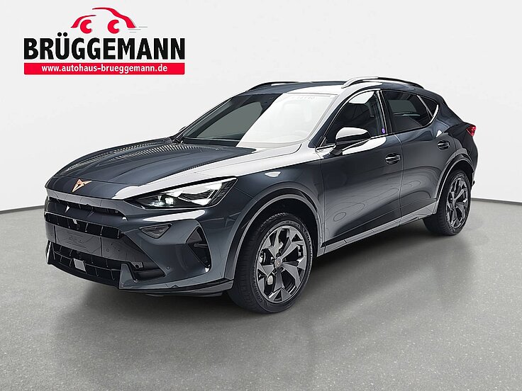 CUPRA FORMENTOR 1.5 ETSI DSG NAVI LED EDGE PAKET EL.HECKKLAPPE KAM