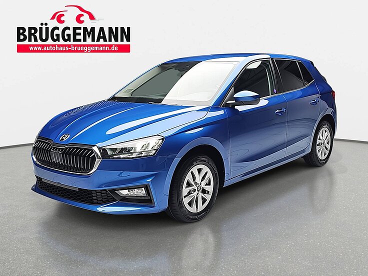SKODA FABIA 1.0 TSI DSG SELECTION LED AUDIOSYSTEM SICHT WINTER