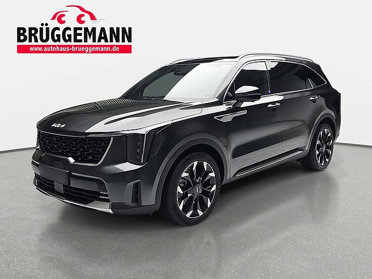 KIA SORENTO 2.2 CRDI AWD DCT8 PLATINUM LEDER NAPPA PREMIUM GLASDACH AHK
