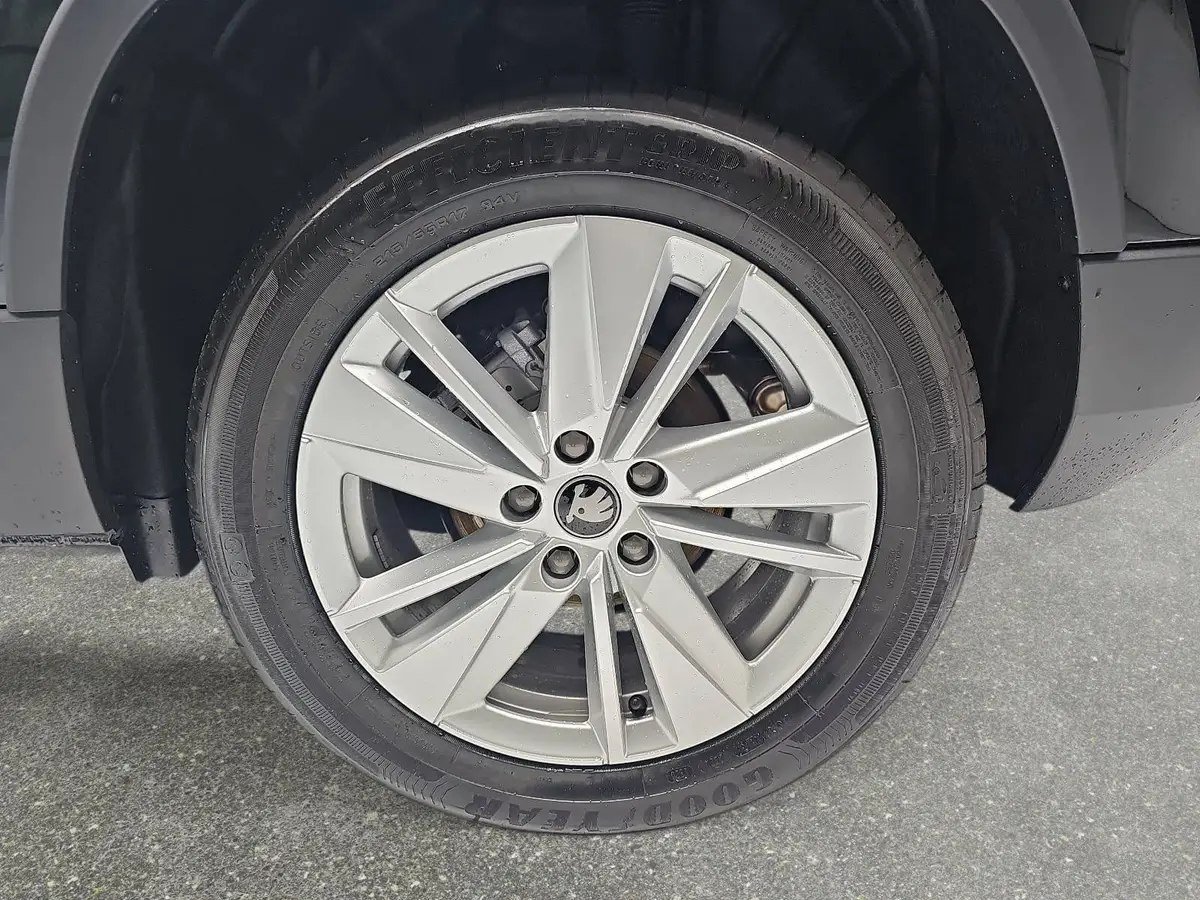 SKODA KAROQ 1.5 TSI DSG 130 JAHRE LED KAMERA AHK