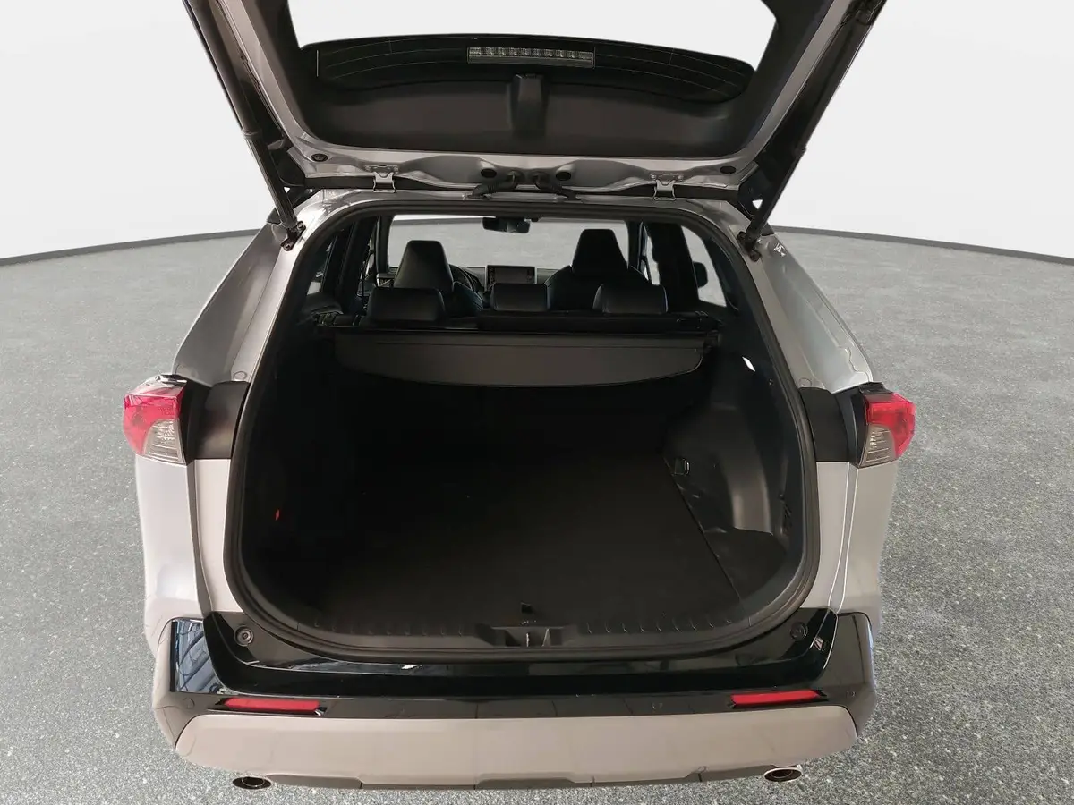 TOYOTA RAV 4 2.5 VVT-I HYBRID ECVT NAVI LED ACC WINTER PANO 360