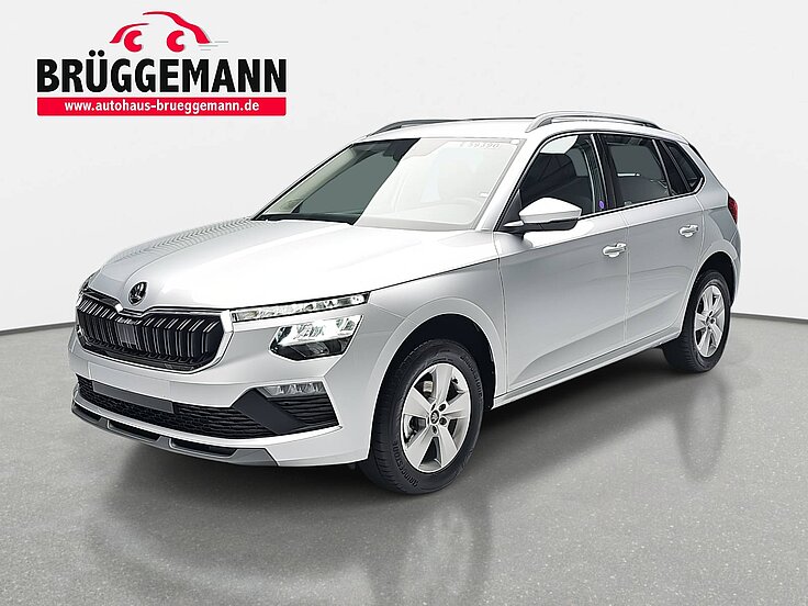 SKODA KAMIQ 1.0 TSI DSG 130 JAHRE LED KLIMAUTO WINTER SICHT KA