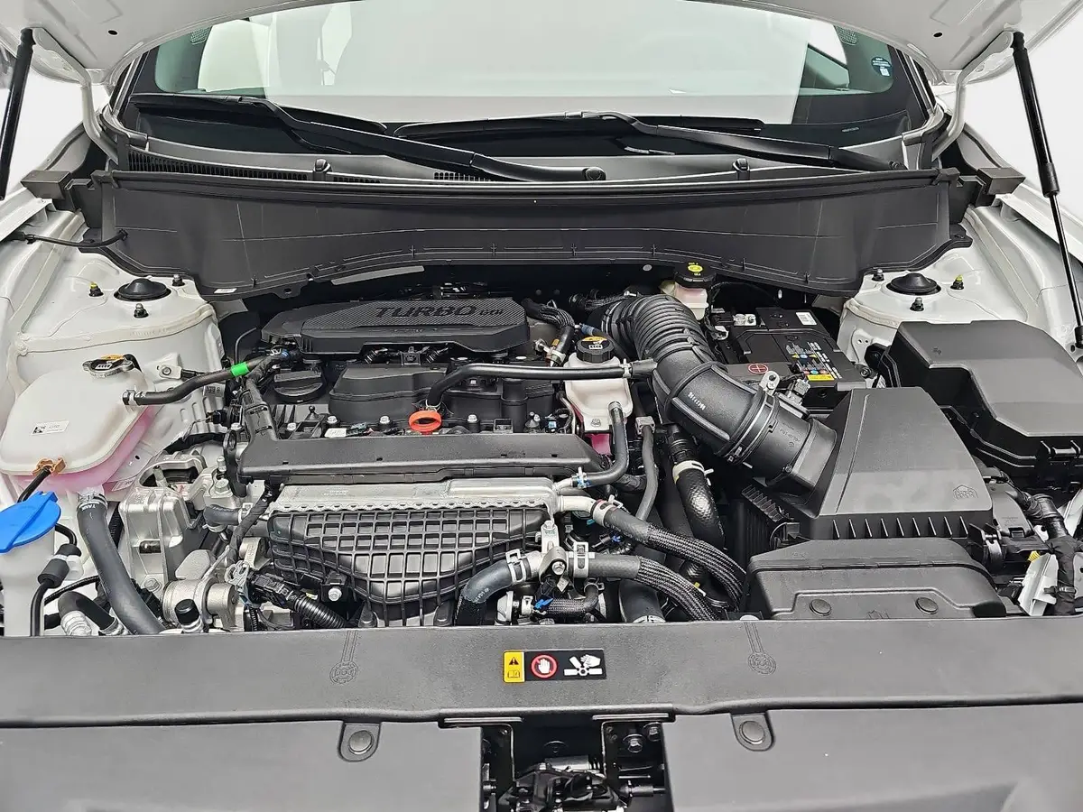 KIA SELTOS 1.6 T-GDI AWD DCT X-LINE MJ27 GLASDACH