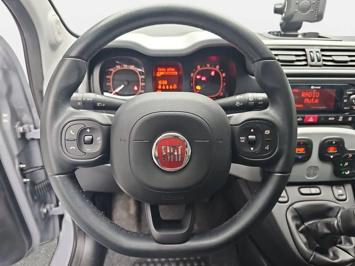 FIAT PANDA 1.2 8V City Cross Klimauto Winter PDC