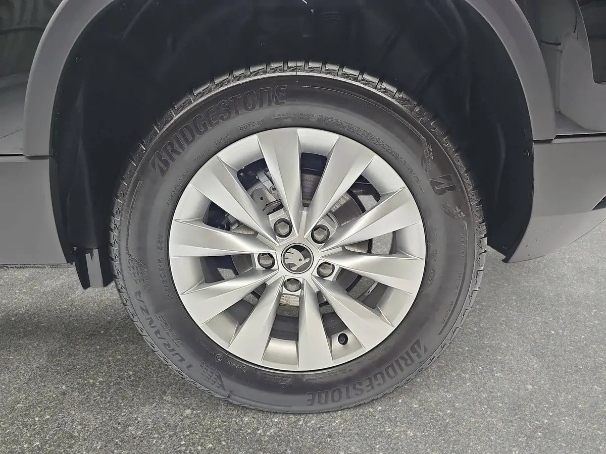 SKODA KAROQ 1.5 TSI DSG 130 JAHRE LED DAB WINTER EL.HECKKL.