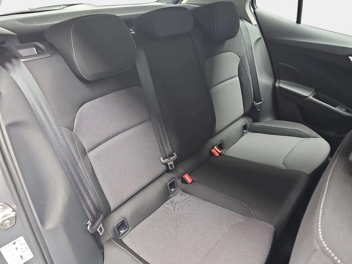 SKODA FABIA 1.0 TSI DSG 130 JAHRE LED KAMERA LM