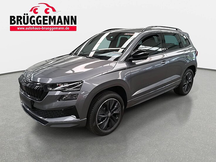 SKODA KAROQ 2.0 TSI DSG SPORTLINE 4X4 NAVI KLIMA LED CANTON AH