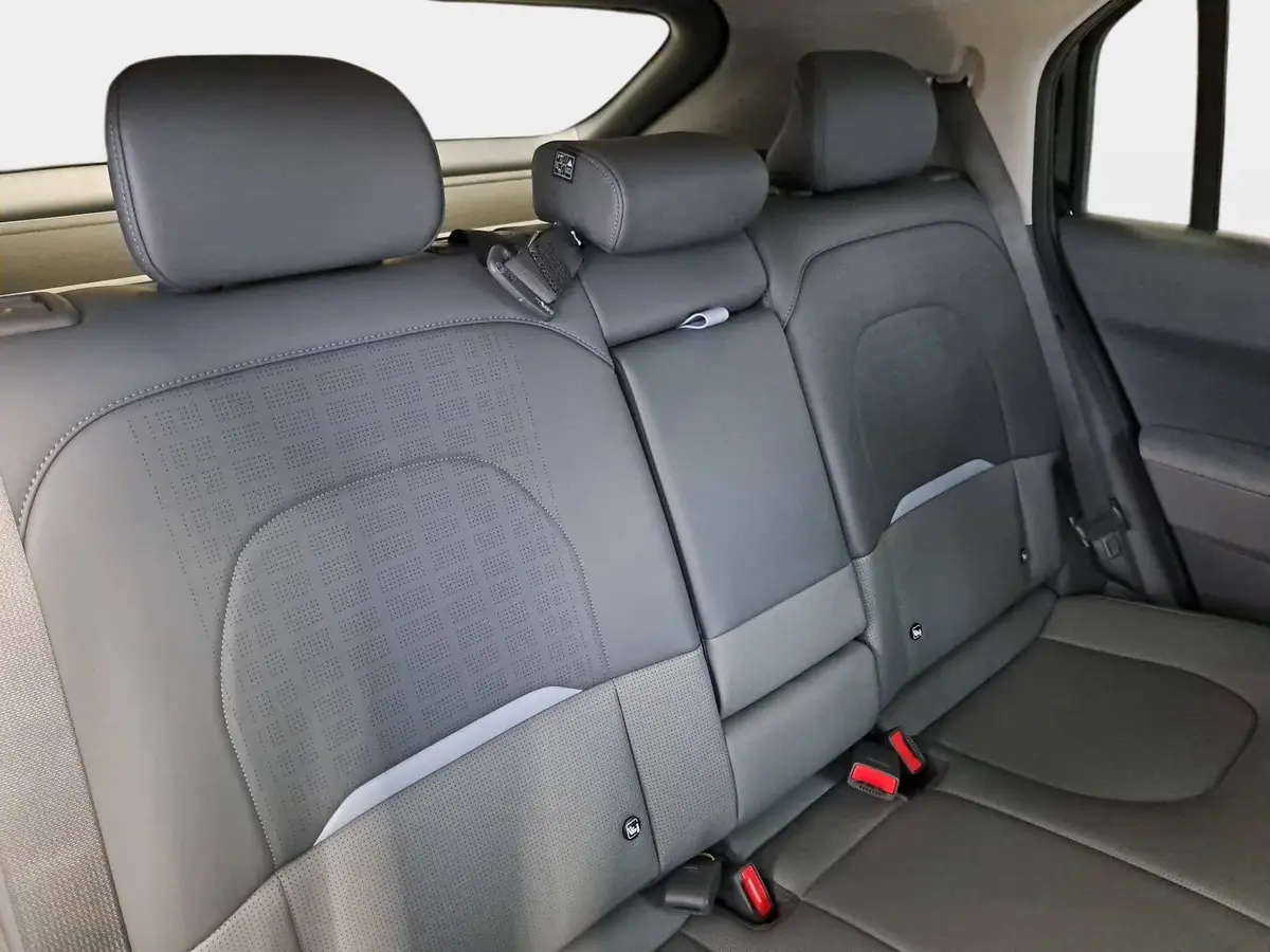 KIA EV3 81.4 KWH EARTH MJ26 WINTER BUSIN. UPGRADE DRIVEWISE-PARK DESIGN SOUND