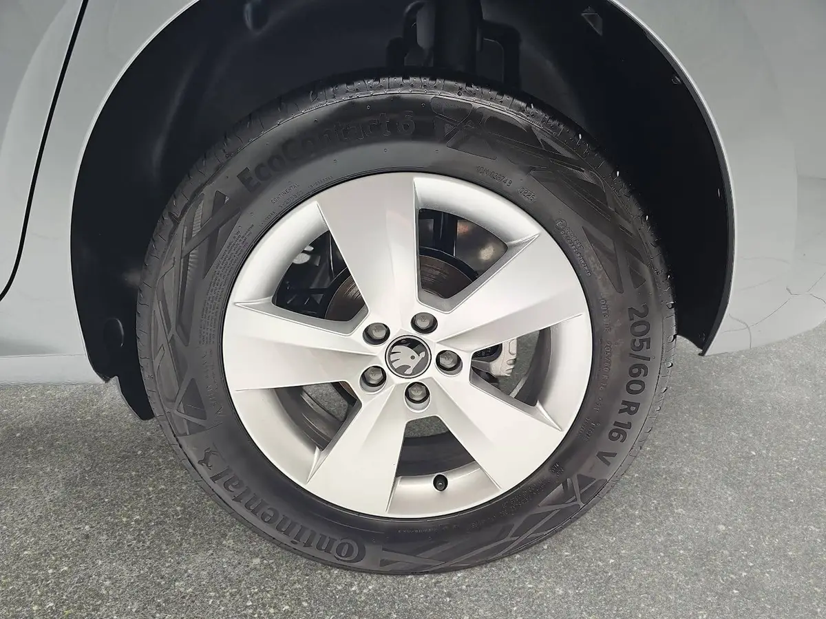 SKODA KAMIQ 1.0 TSI DSG 130 JAHRE LED KAMERA LM
