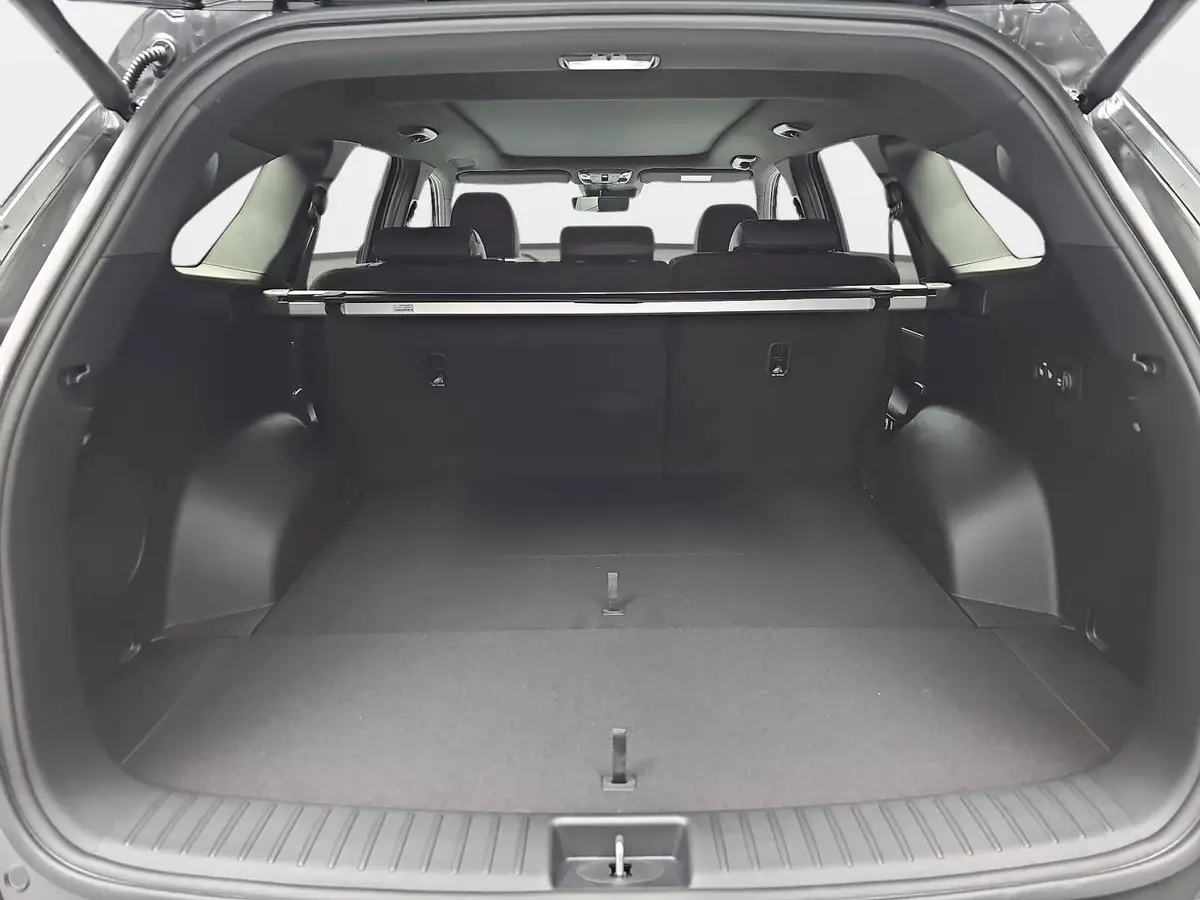 KIA SORENTO 2.2 CRDI AWD DCT8 PLATINUM LEDER NAPPA PREMIUM GLASDACH AHK