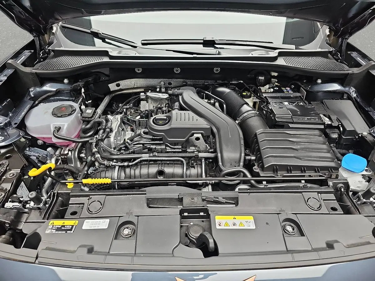 CUPRA FORMENTOR 1.5 ETSI DSG NAVI LED ACC PANORAMA EL.HECKKL. KAME