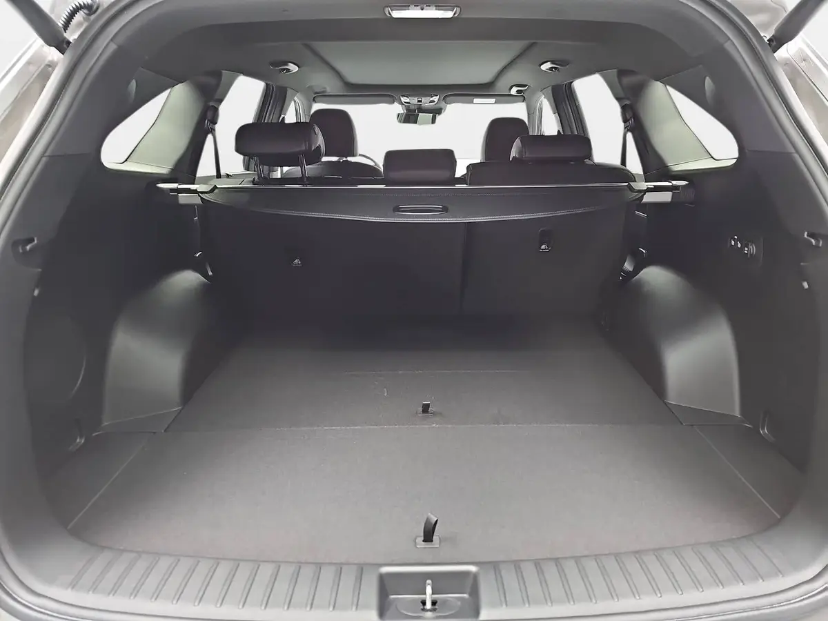 KIA SORENTO 2.2 CRDI AWD DCT8 PLATINUM LEDER NAPPA PREMIUM GLASDACH AHK