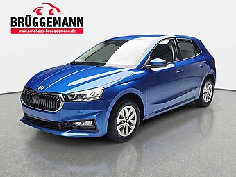 SKODA FABIA 1.0 TSI DSG 130 JAHRE LED KLIMAAUTO SICHT WINTER K