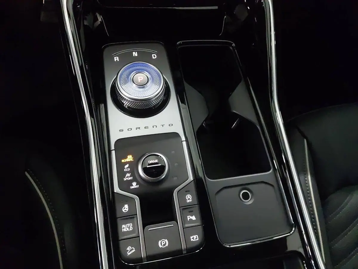 KIA SORENTO 2.2 CRDI AWD DCT8 PLATINUM LEDER NAPPA PREMIUM GLASDACH AHK