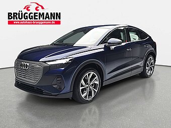 AUDI Q4 E-TRON 40 SPORTBACK NAVI LED INTERFACE WINTER SICH
