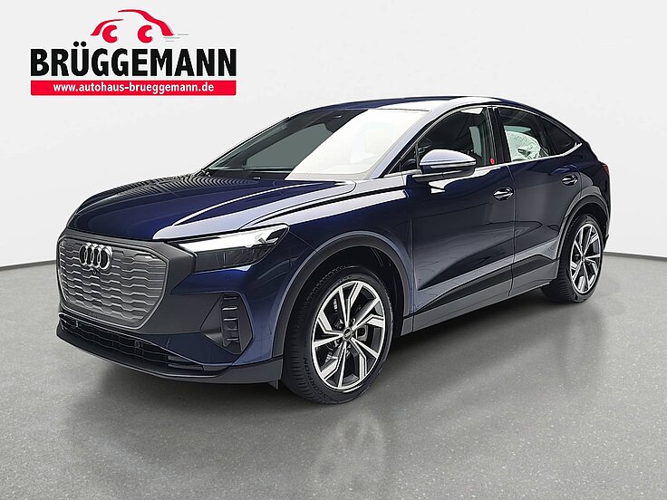AUDI Q4 E-TRON 40 SPORTBACK NAVI LED INTERFACE WINTER SICH