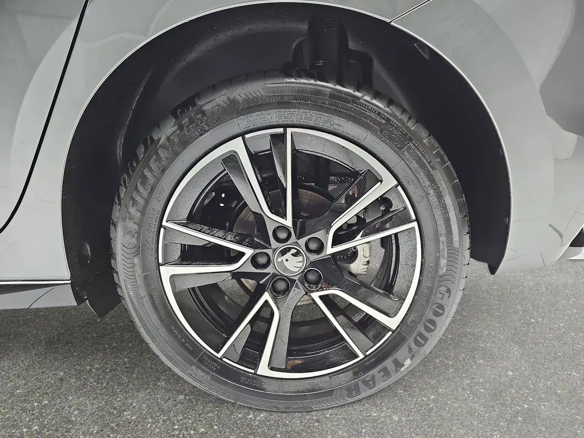 SKODA FABIA 1.0 TSI DSG MONTE CARLO LED KLIMAAUTO WINTER PDC K