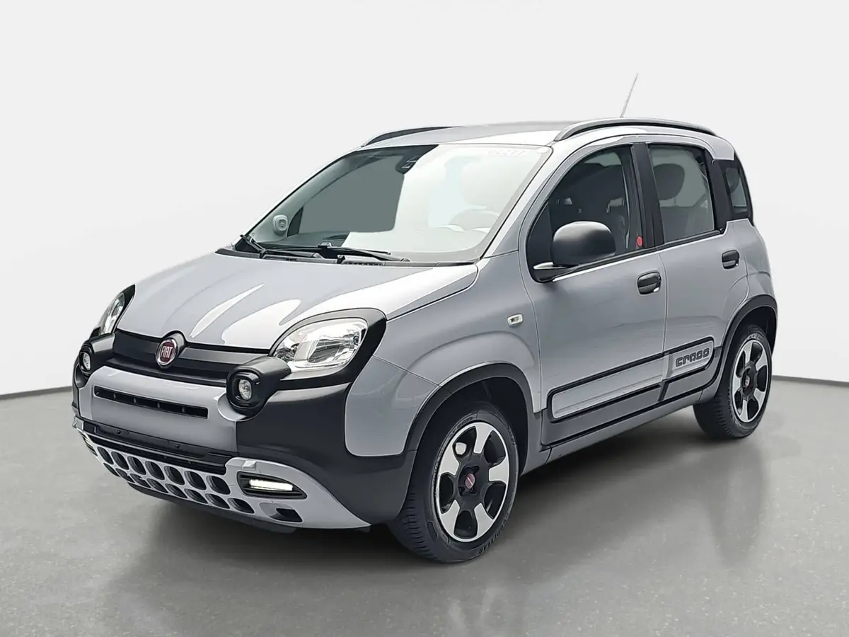 FIAT PANDA 1.2 8V City Cross Klimauto Winter PDC