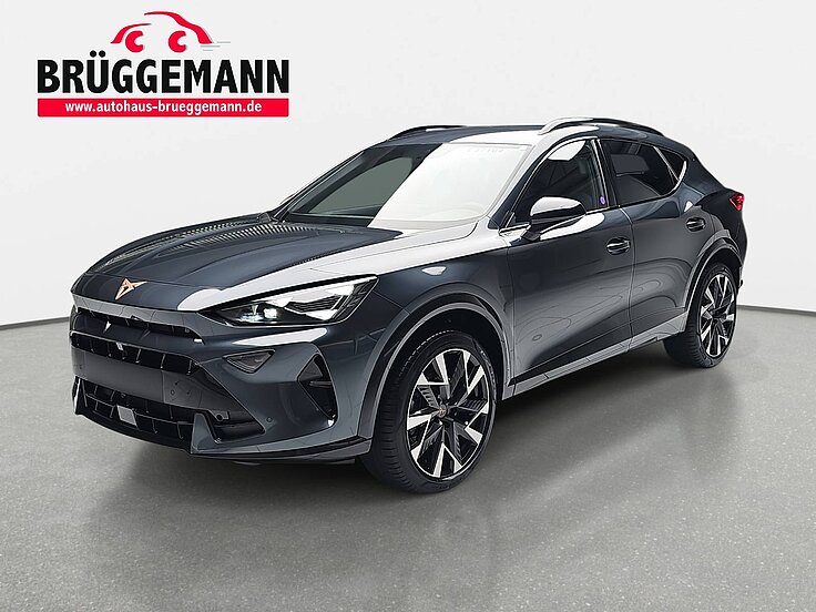 CUPRA FORMENTOR 1.5 ETSI DSG NAVI LED ACC SPURPAKET EL.HECKKL. KAM