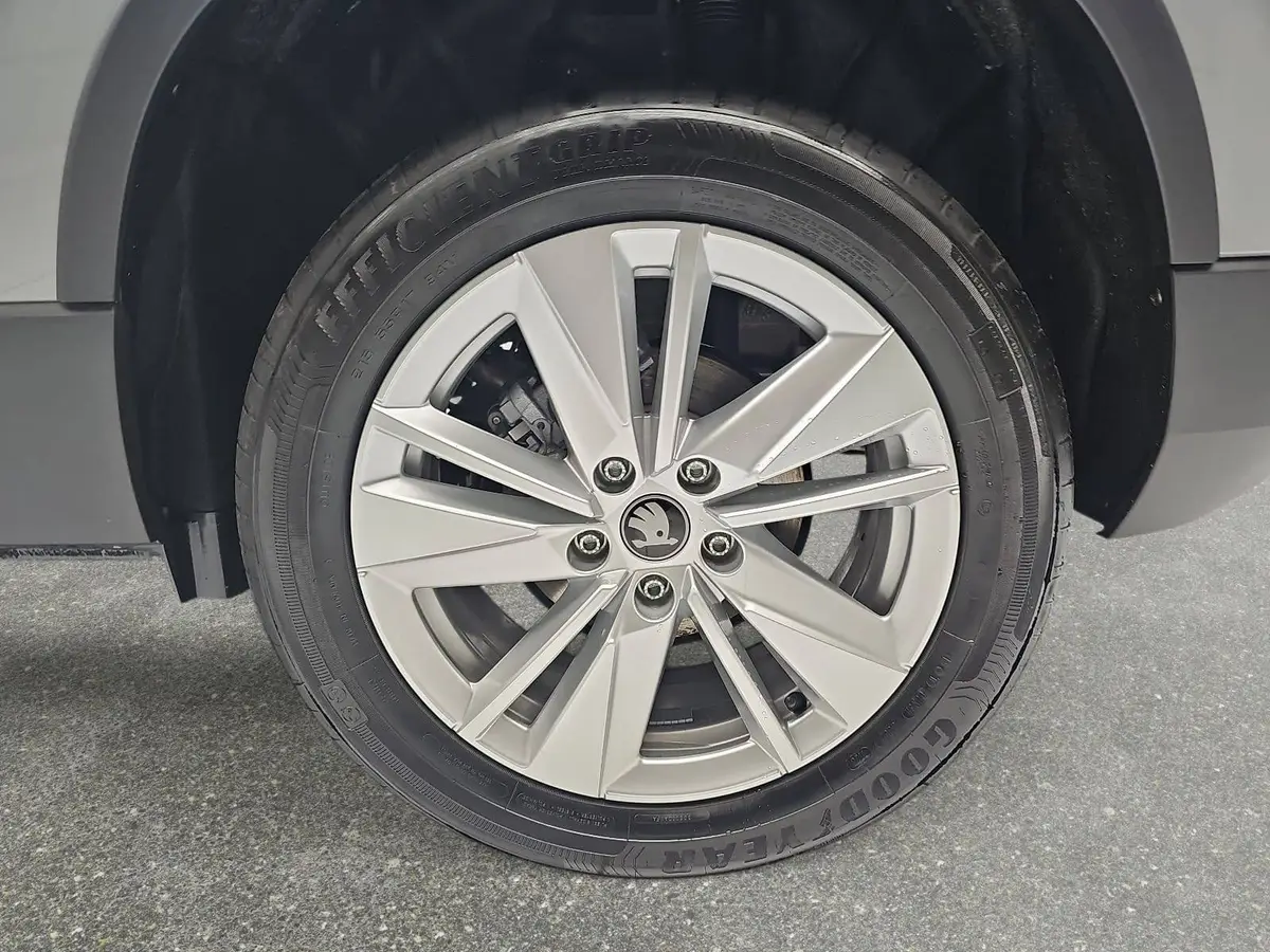 SKODA KAROQ 1.5 TSI DSG SELECTION LED AHK LM