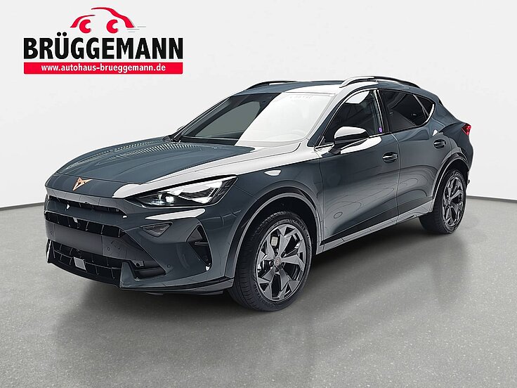 CUPRA FORMENTOR 1.5 ETSI DSG NAVI LED EDGE PAKET EL.HECKKLAPPE KAM