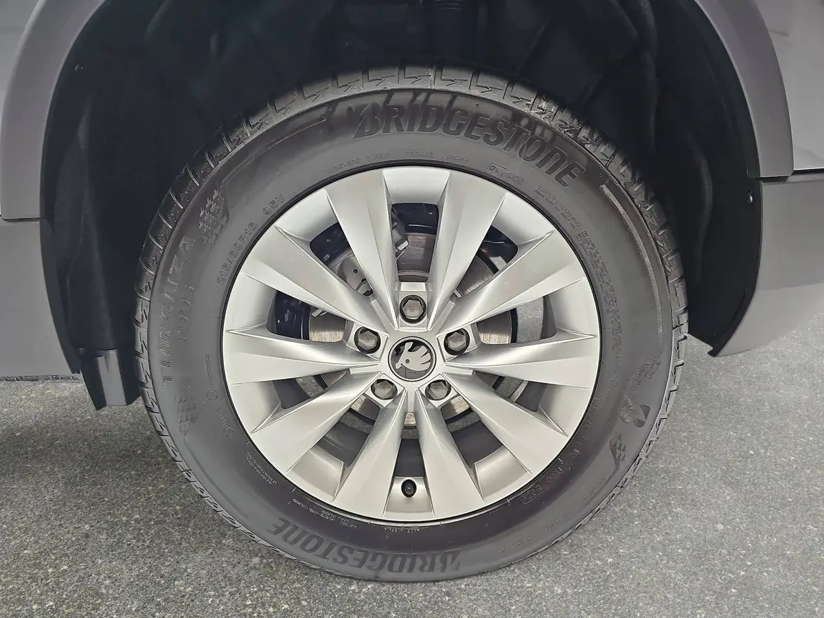 SKODA KAROQ 1.5 TSI DSG 130 JAHRE LED AHK LM