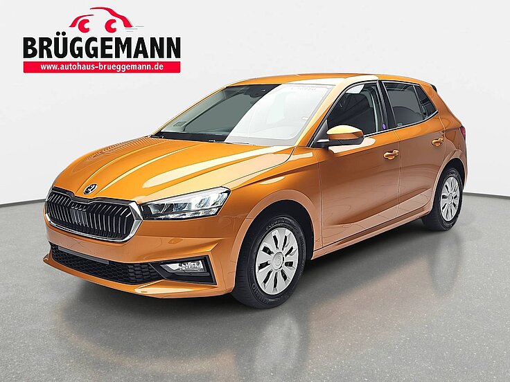 SKODA FABIA 1.0 TSI AMBITION LED KLIMAAUTO AUDIO WINTER SICHT 