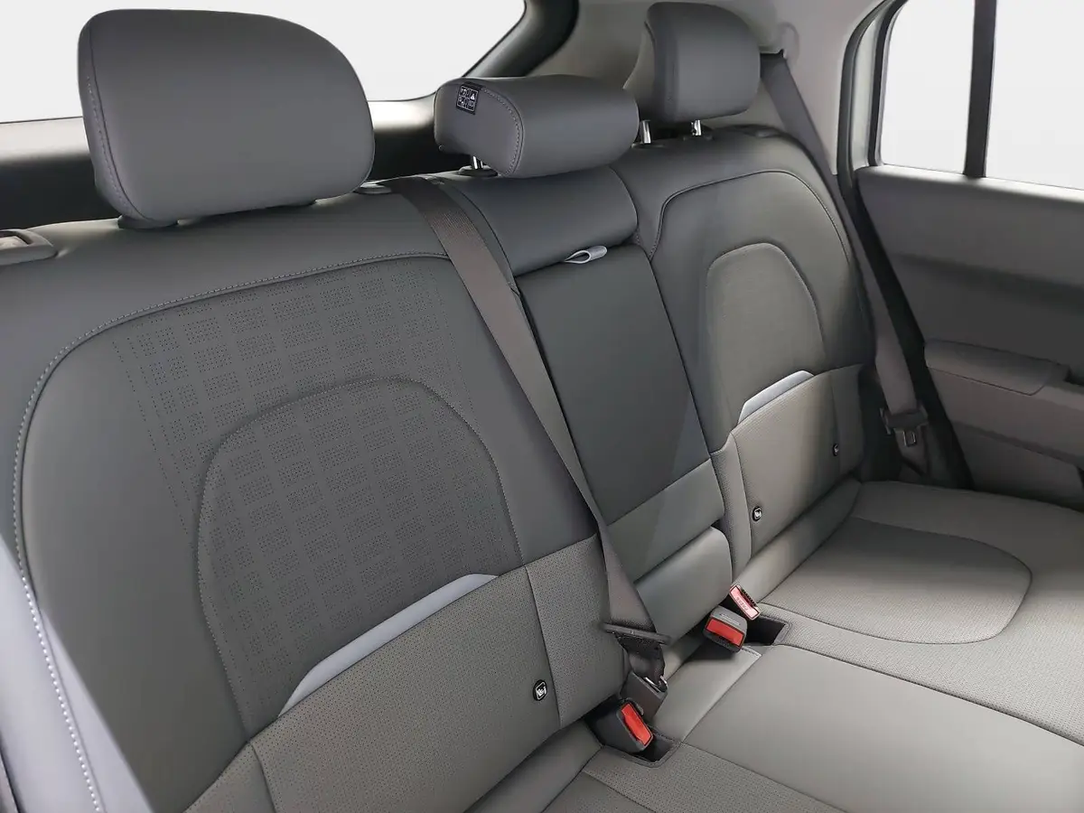 KIA EV3 81.4 KWH EARTH MJ26 WINTER-CONNECT BUSINESS UPGRADE DRIVEWISE-PARK