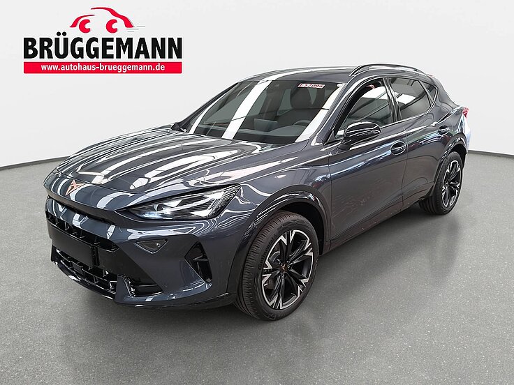 CUPRA FORMENTOR 1.5 ETSI DSG NAVI LED ACC SPURPAKET EL.HECKKL. KAM