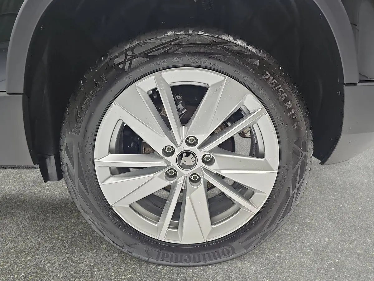 SKODA KAROQ 1.5 TSI DSG SELECTION LED AHK WINTER