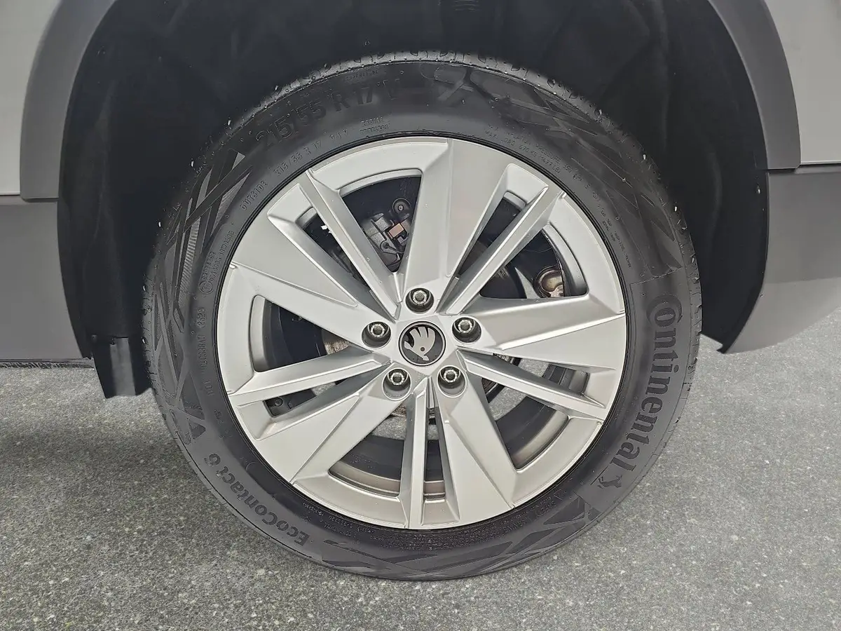 SKODA KAROQ 1.5 TSI DSG SELECTION LED AHK WINTER