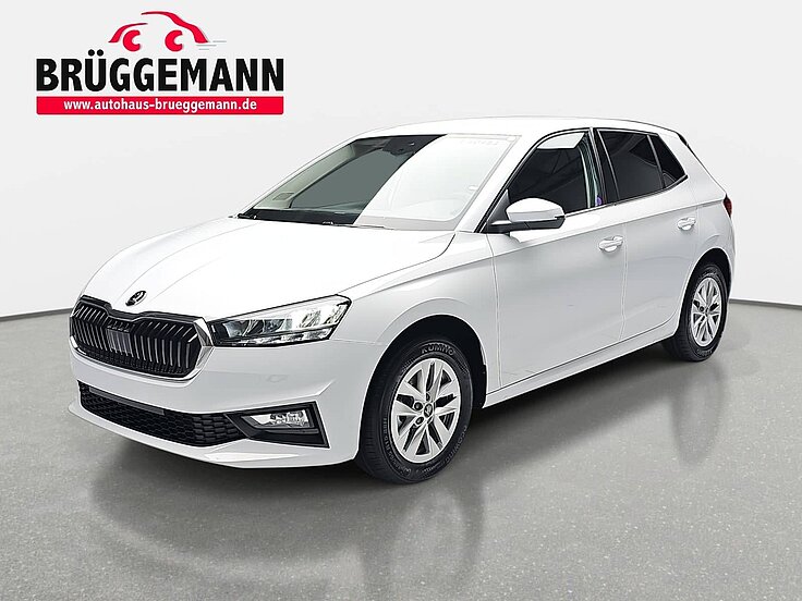 SKODA FABIA 1.0 TSI DSG SELECTION LED AUDIO SICHT WINTER CHROM
