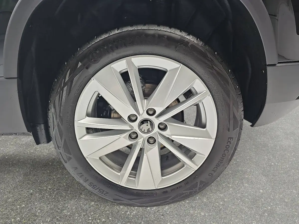 SKODA KAROQ 1.5 TSI DSG 130 JAHRE LED KAMERA AHK