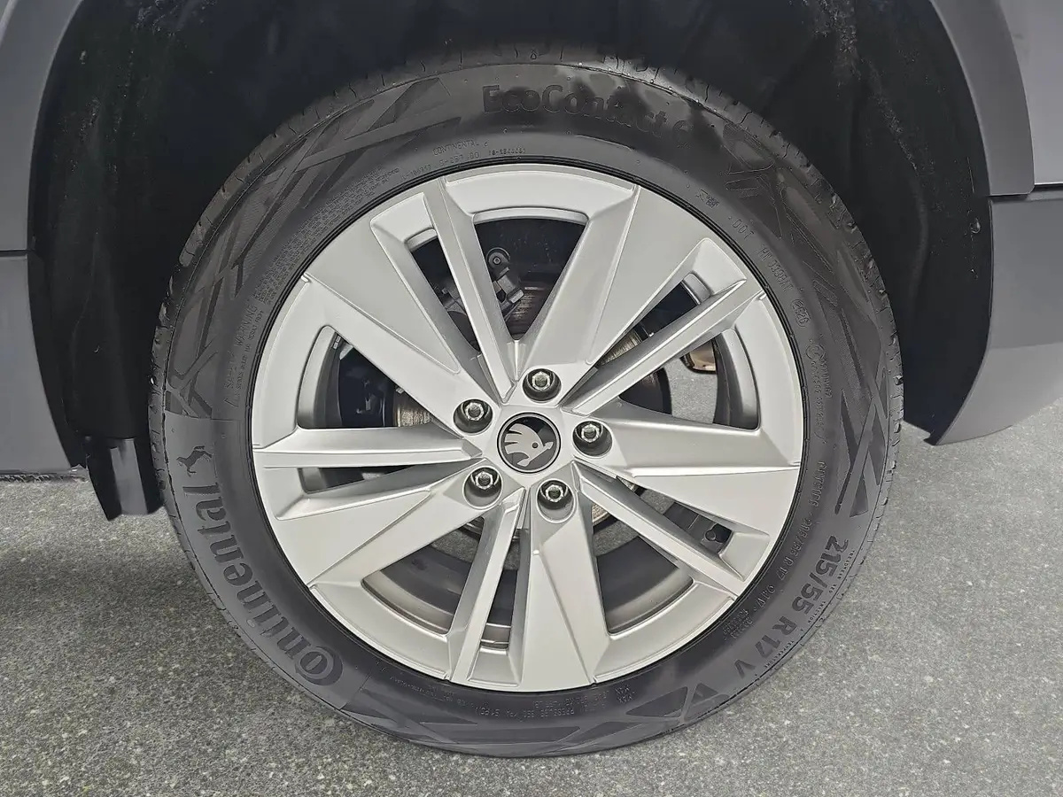 SKODA KAROQ 2.0 TDI DSG SELECTION LED AHK KAMERA