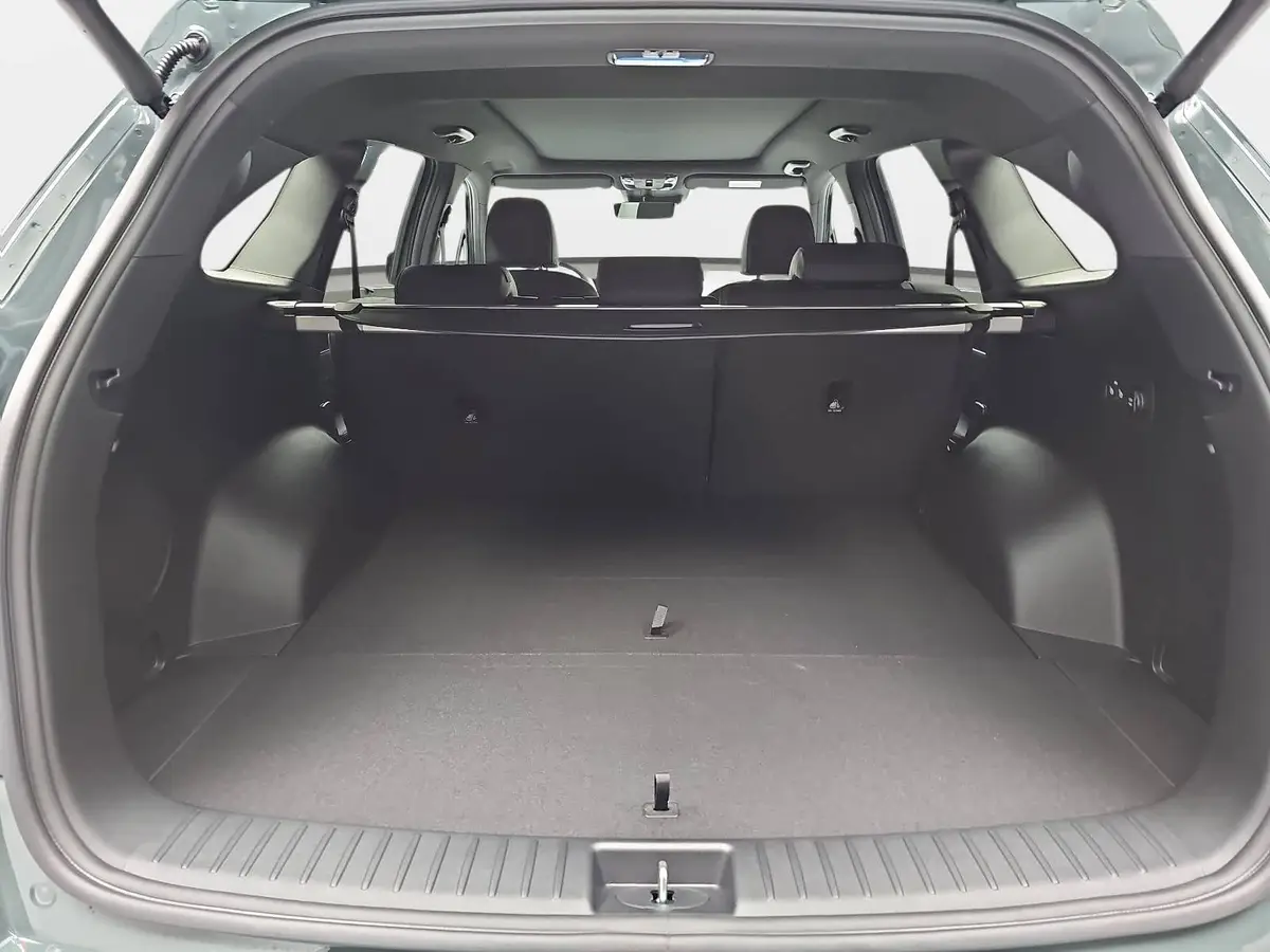 KIA SORENTO 2.2 CRDI AWD DCT8 PLATINUM LEDER NAPPA PREMIUM GLASDACH AHK