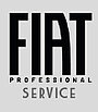 fiatprof-service-hover-on