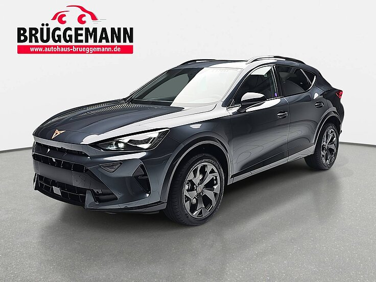 CUPRA FORMENTOR 1.5 ETSI DSG NAVI LED ACC PANORAMA EL.HECKKL. KAME