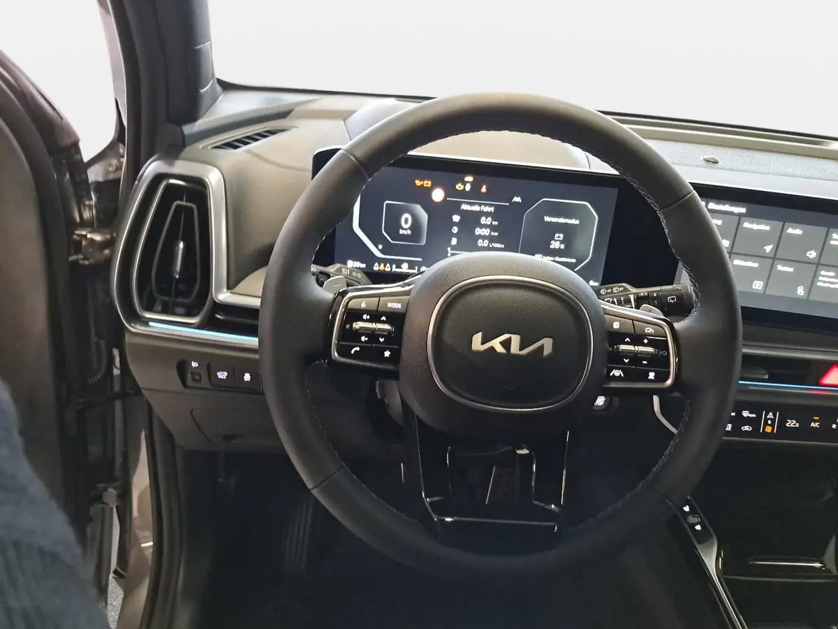 KIA SORENTO 2.2 CRDI AWD DCT8 PLATINUM LEDER NAPPA PREMIUM GLASDACH AHK