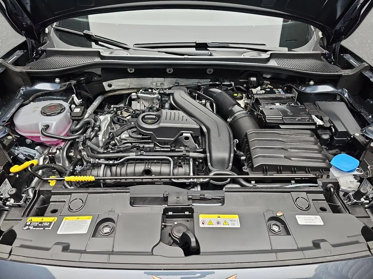 CUPRA FORMENTOR 1.5 ETSI DSG NAVI LED-HD ACC PANO WINTER KAMERA AH