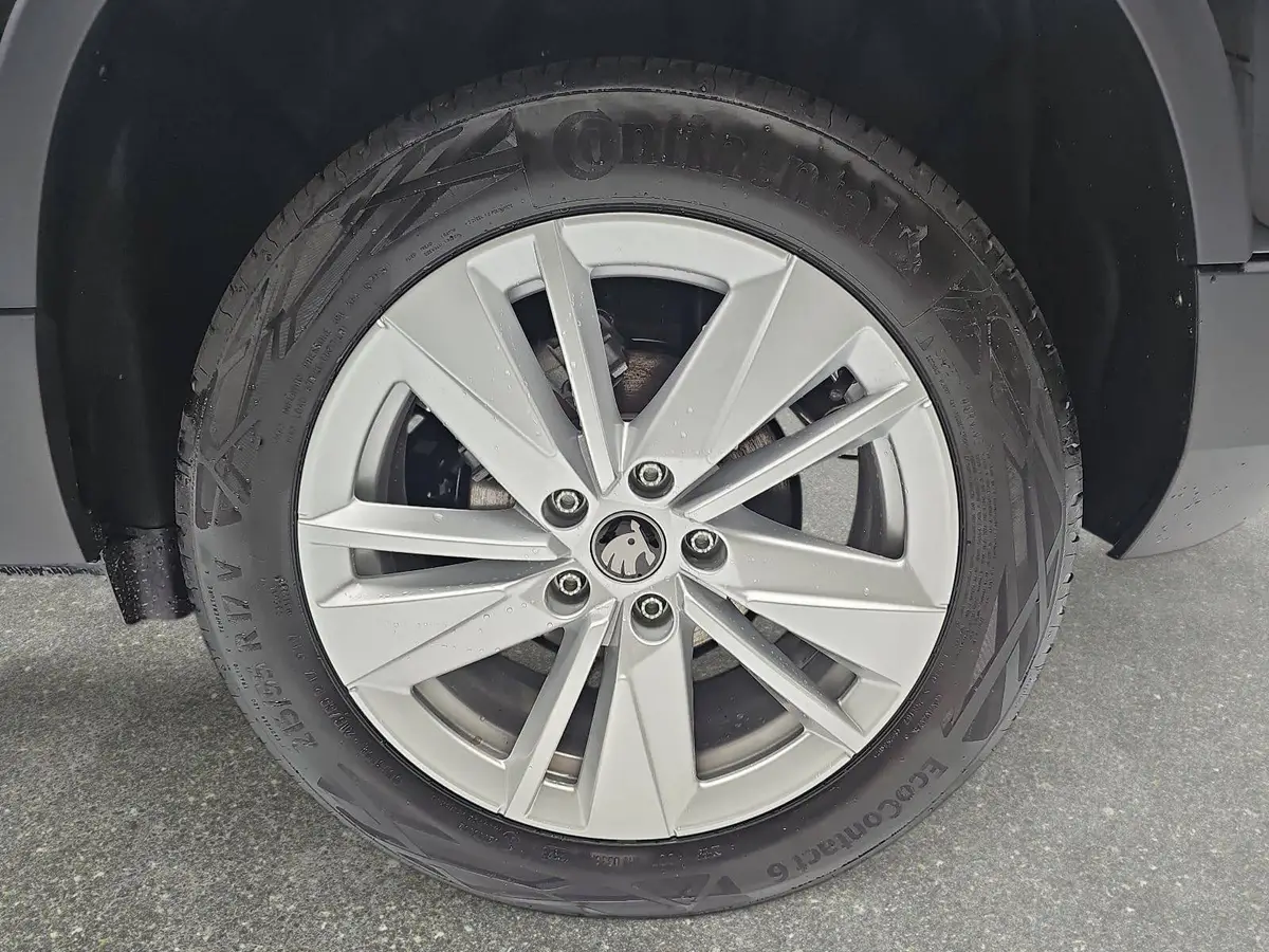 SKODA KAROQ 2.0 TDI DSG FAMILY LED AHK KAMERA