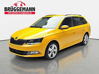 SKODA FABIA COMBI 1.0 TSI DSG STYLE KLIMAAUTO WINTER SICHT AHK PDC L