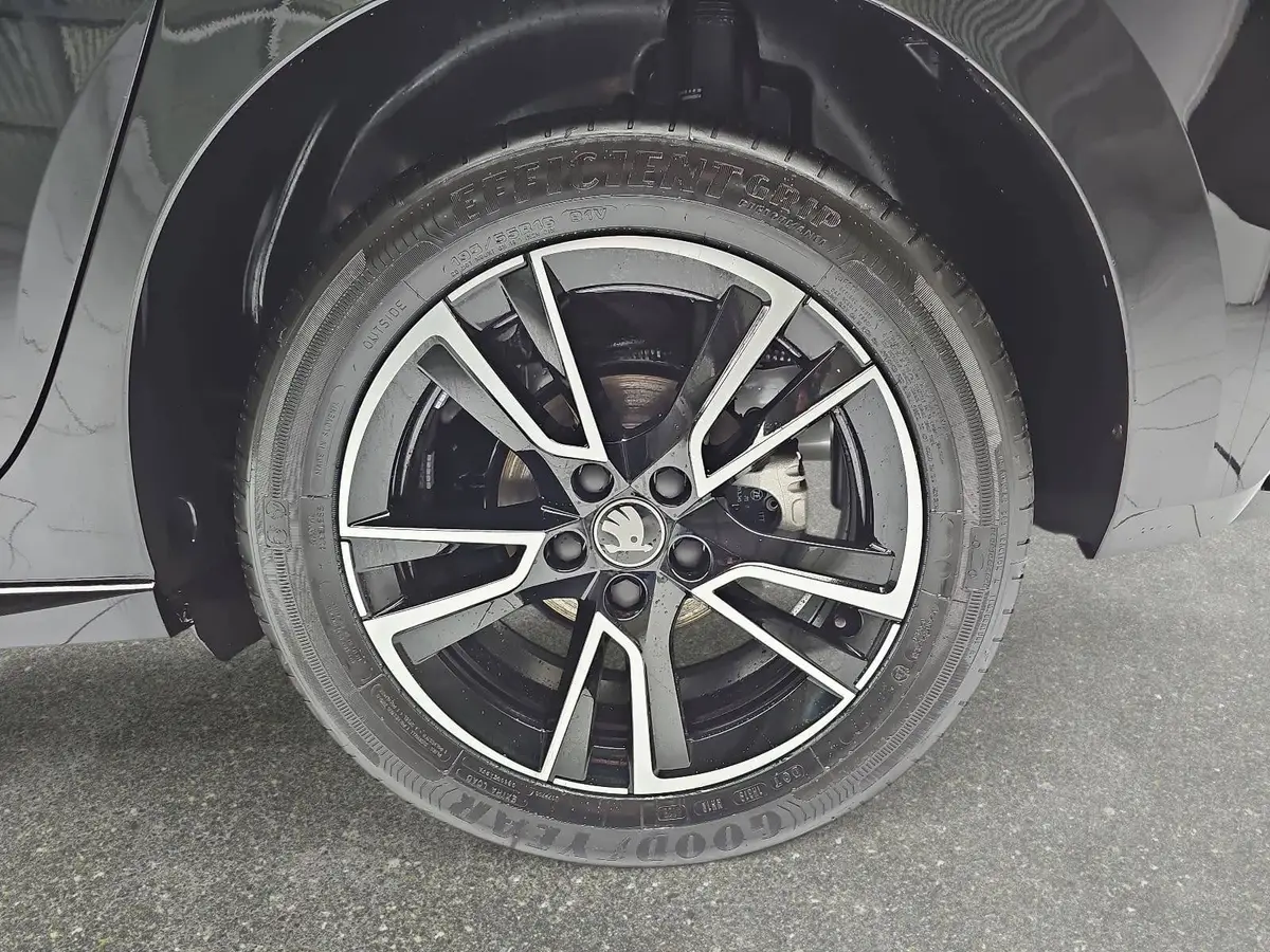 SKODA FABIA 1.0 TSI DSG MONTE CARLO LED KLIMAAUTO WINTER PDC K