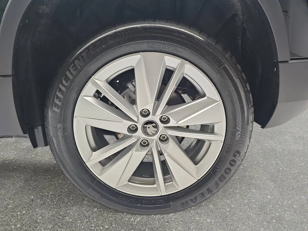 SKODA KAROQ 1.5 TSI DSG SELECTION LED ACC AHK