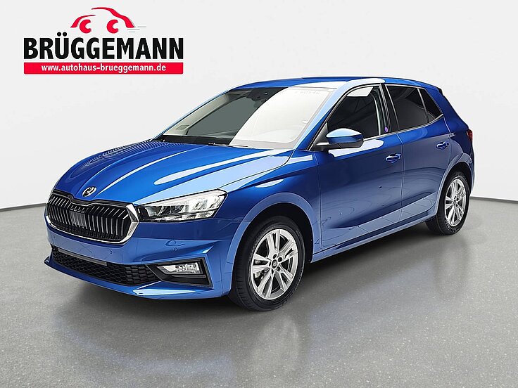 SKODA FABIA 1.0 TSI DSG 130 JAHRE LED KLIMAAUTO WINTER PDC KAM