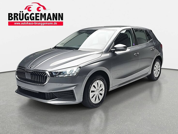 SKODA FABIA 1.0 MPI SELECTION LED AUDIO KLIMAAUTO PDC