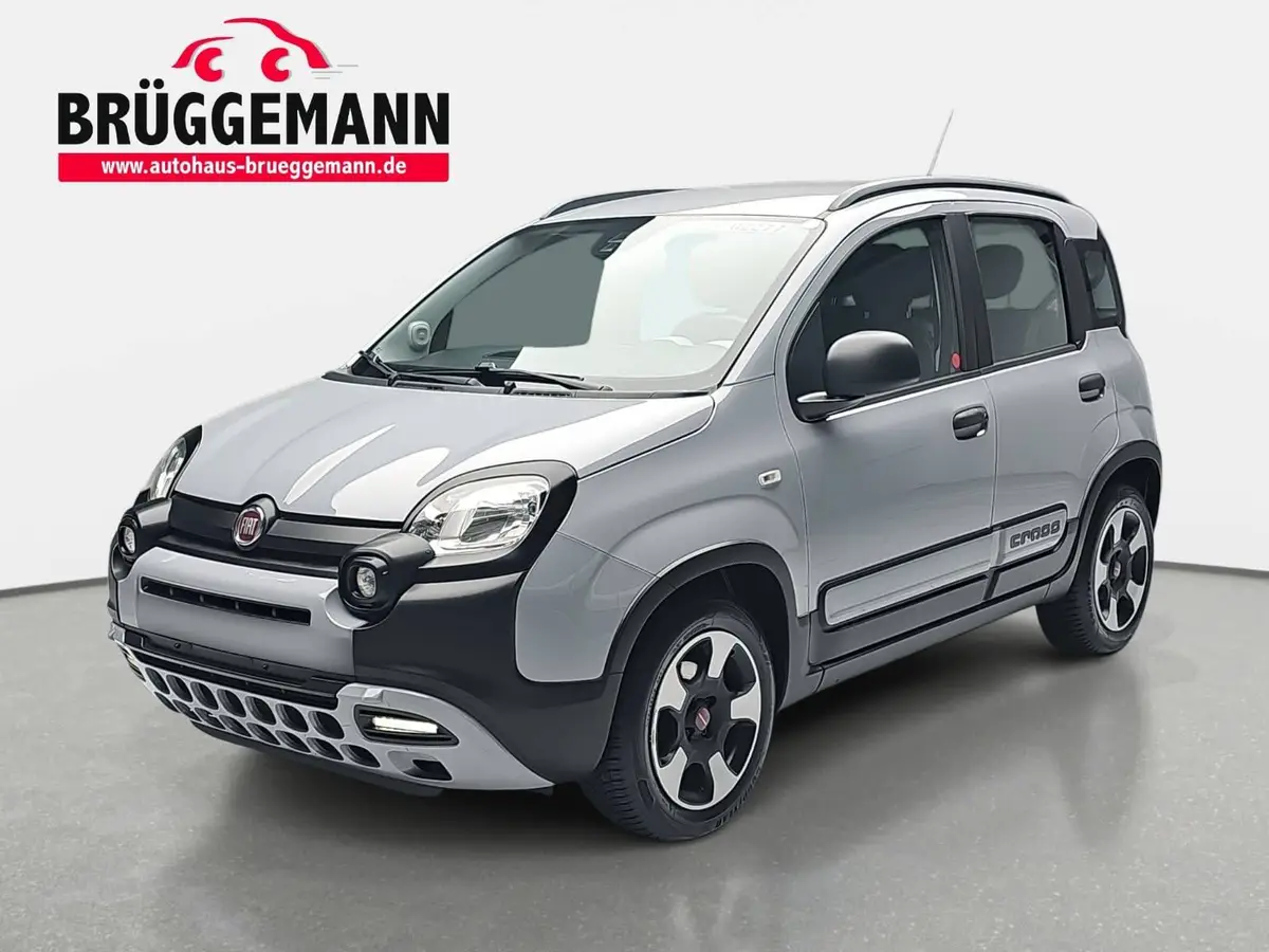 FIAT PANDA 1.2 8V City Cross Klimauto Winter PDC