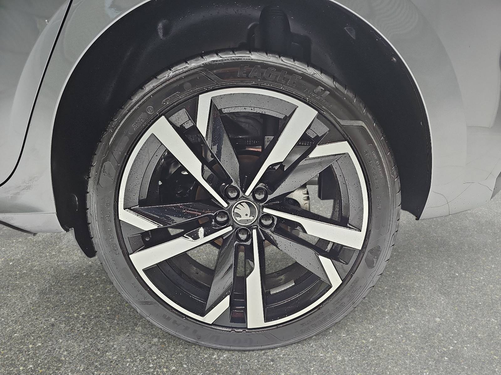 SKODA KAMIQ 1.5 TSI DSG MONTE CARLO NAVI MATRIX-LED PANO WINTE